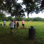 Meadows