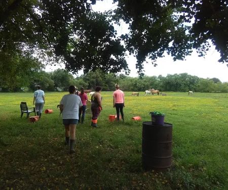 Meadows