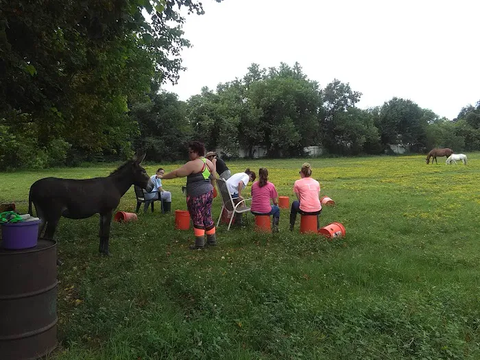 Meadows Picture 6