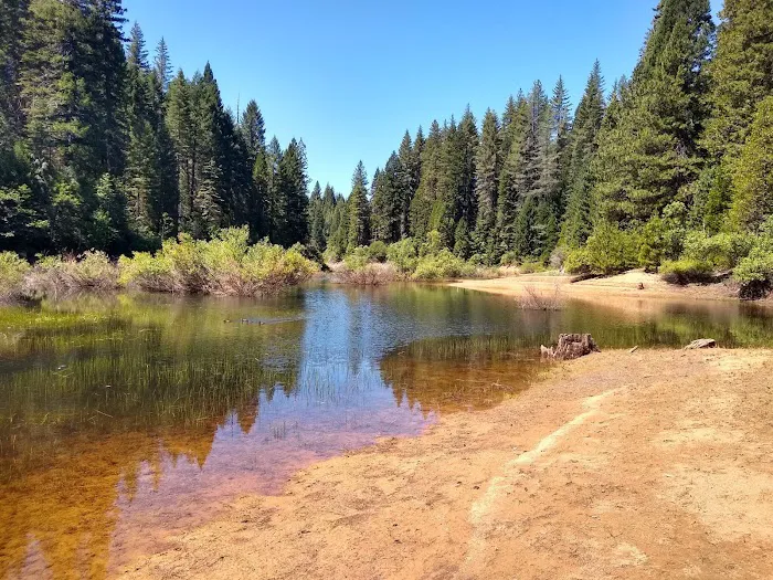 Strawberry Campground Plumas National Forest Picture 3