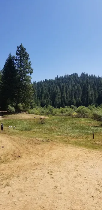 Strawberry Campground Plumas National Forest Picture 4