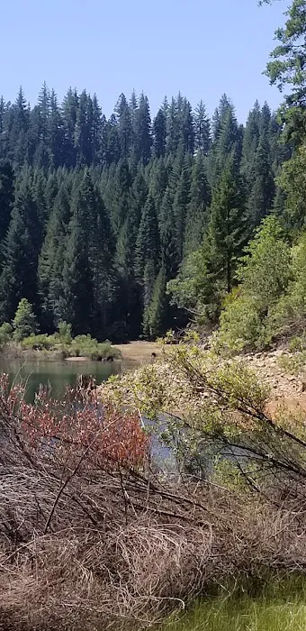 Strawberry Campground Plumas National Forest Picture 2