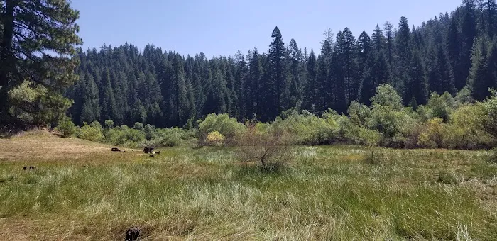 Strawberry Campground Plumas National Forest Picture 5