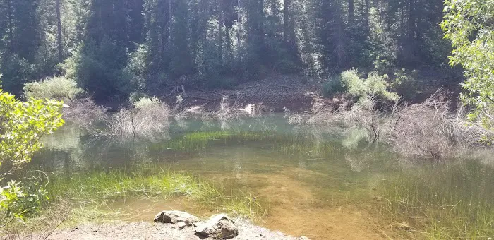 Strawberry Campground Plumas National Forest Picture 1
