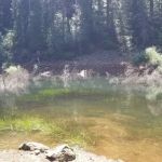 Strawberry Campground Plumas National Forest