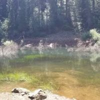 Strawberry Campground Plumas National Forest ico