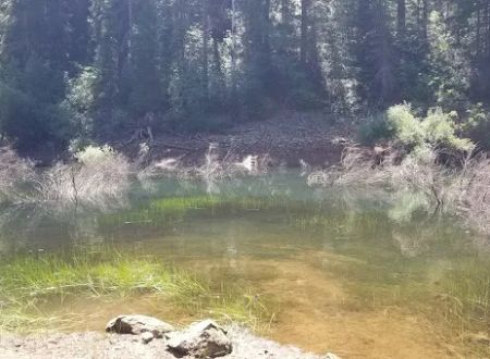 Strawberry Campground Plumas National Forest
