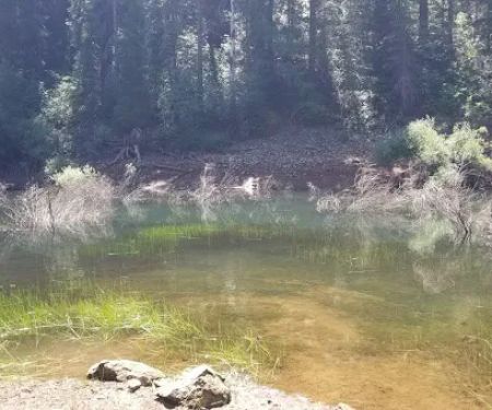 Strawberry Campground Plumas National Forest