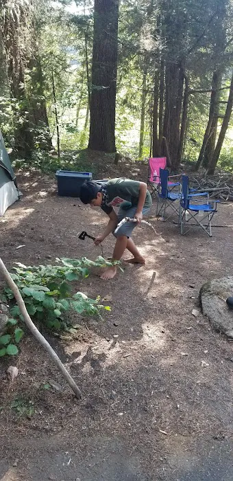 Strawberry Campground Plumas National Forest Picture 7