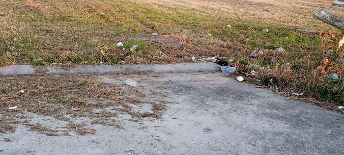 Nueces Estates Picture 7