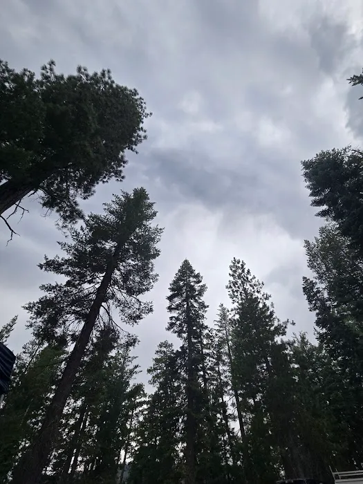 Wyandotte Campground Picture 7
