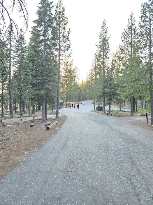 Wyandotte Campground Picture 10
