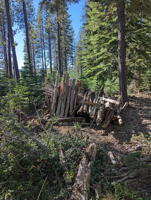 Red Feather Campground Picture 6