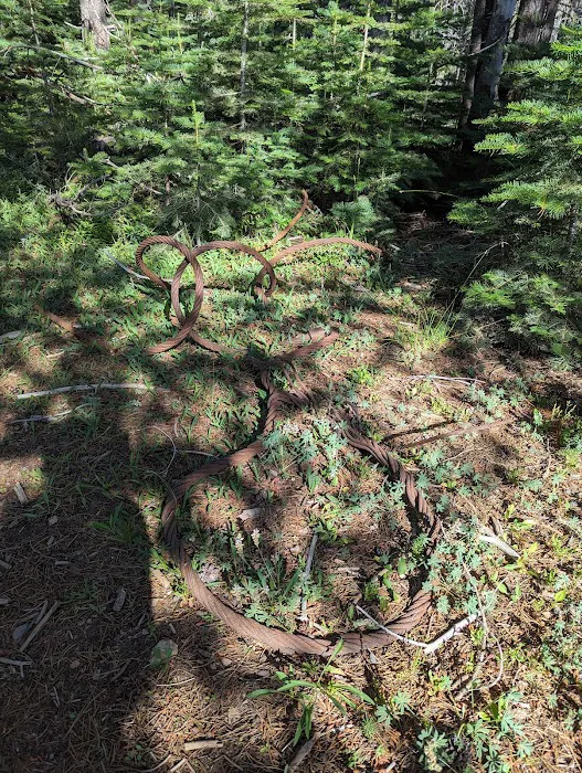 Red Feather Campground Picture 10