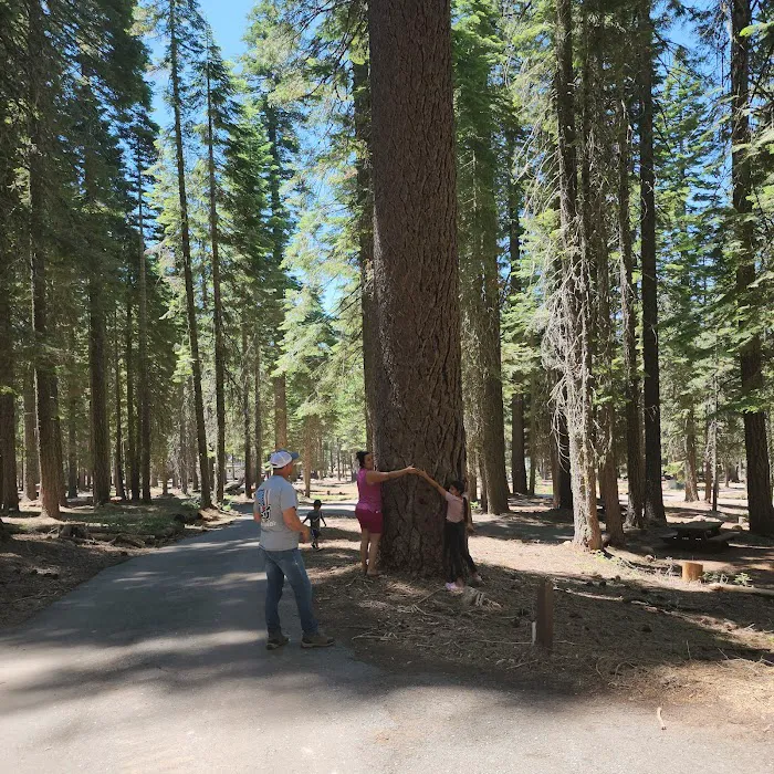 Running Deer Campground Picture 3