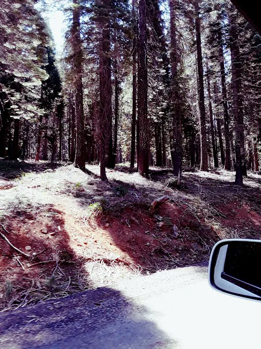 Running Deer Campground Picture 6