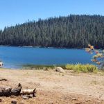 Lower Bucks Campground