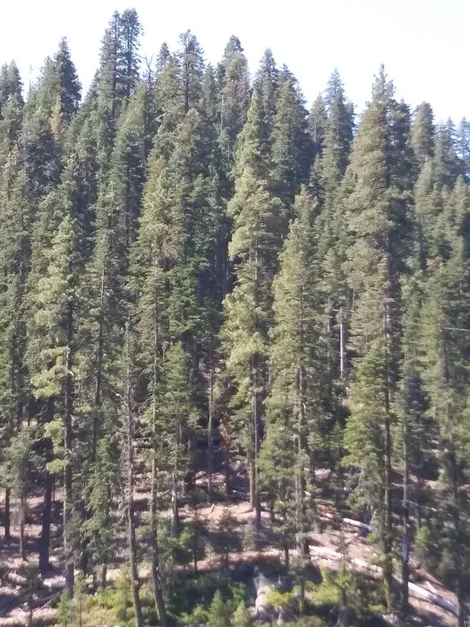 Lower Bucks Campground Picture 3