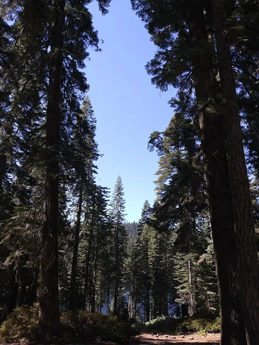 Lower Bucks Campground Picture 6