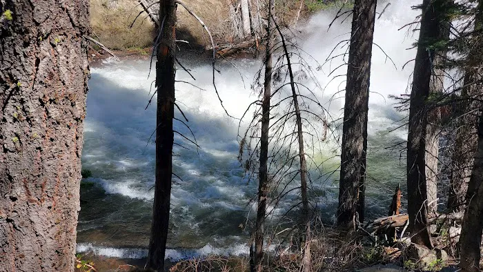 Lower Bucks Campground Picture 7