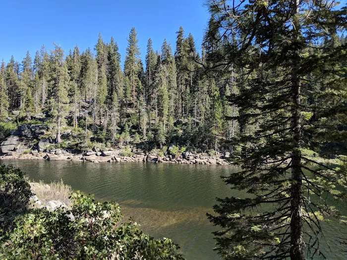 Hutchins Group Campground Picture 2