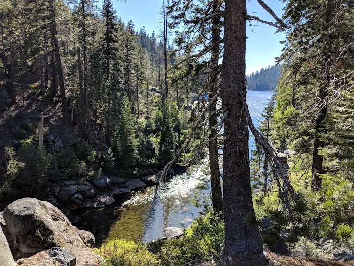 Hutchins Group Campground Picture 1