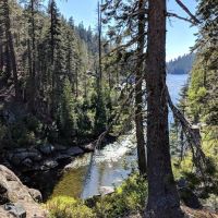 Hutchins Group Campground ico