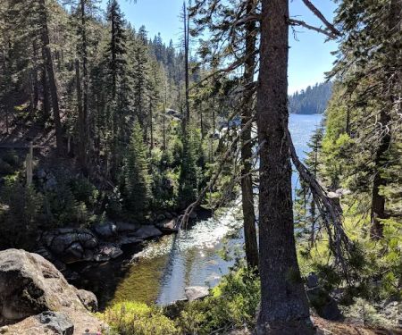 Hutchins Group Campground