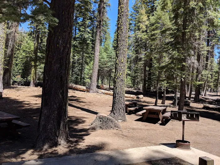 Hutchins Group Campground Picture 7