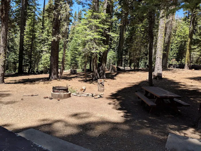 Hutchins Group Campground Picture 8