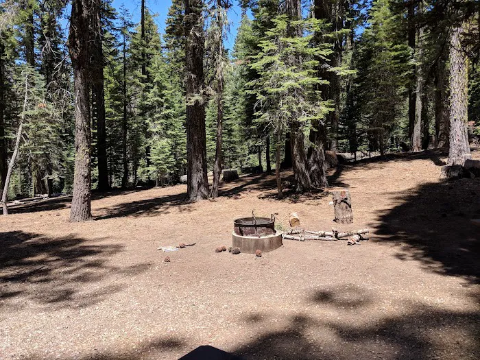 Hutchins Group Campground Picture 6