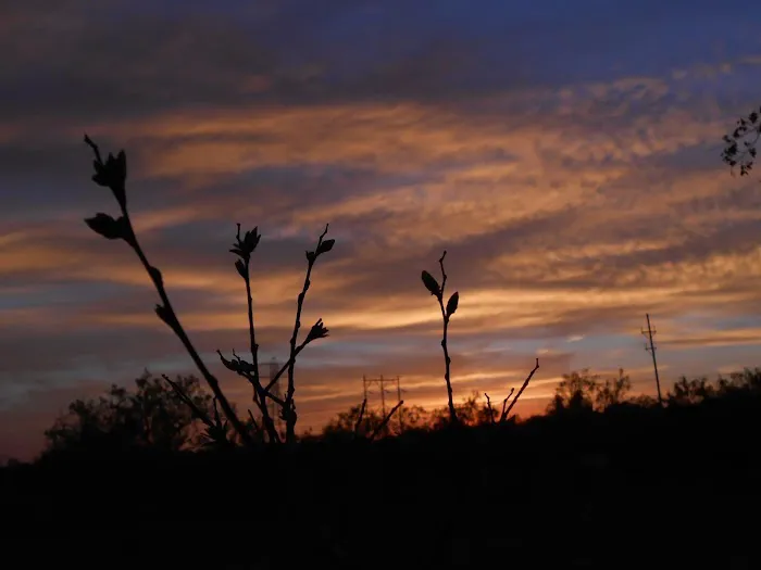 San Angelo MHP LLC Picture 4