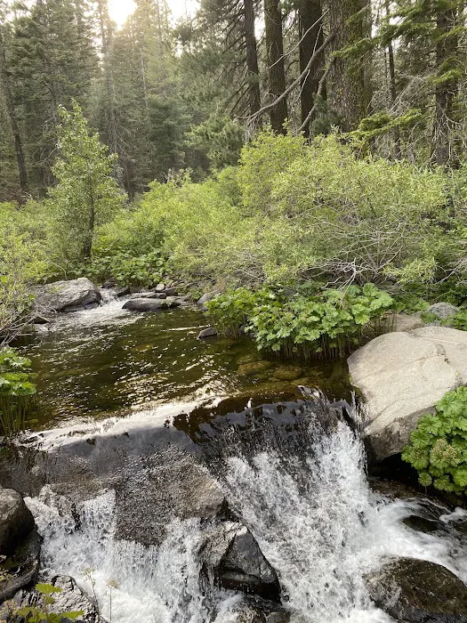 Mill Creek Campground Picture 5