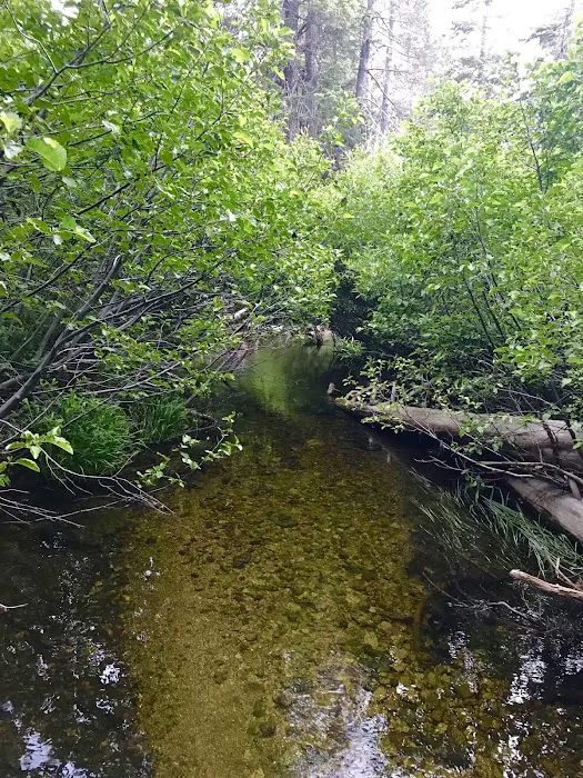 Whitehorse campground Picture 6
