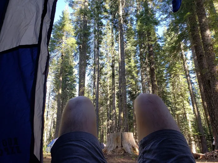 Whitehorse campground Picture 9