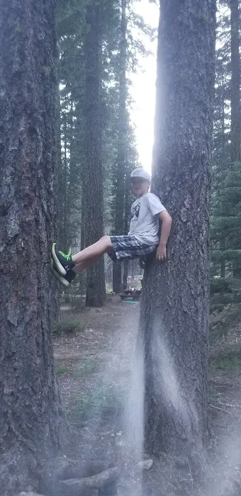 Whitehorse campground Picture 7