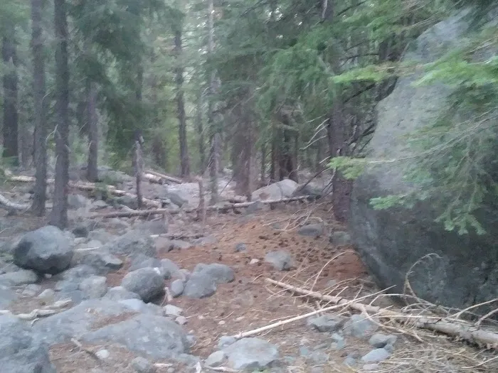 west branch camp road campground Picture 4