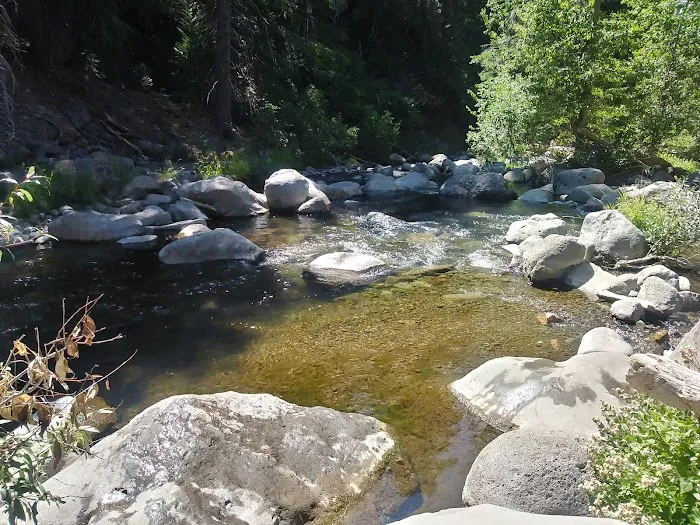 west branch camp road campground Picture 3