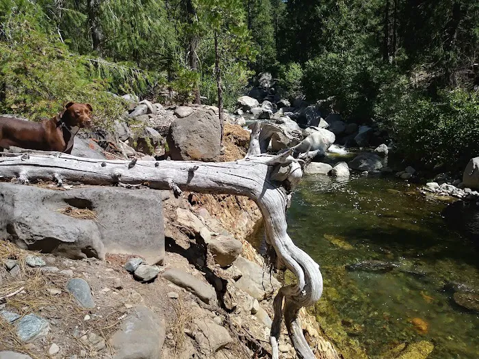 west branch camp road campground Picture 6