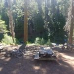 west branch camp road campground