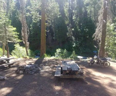 west branch camp road campground