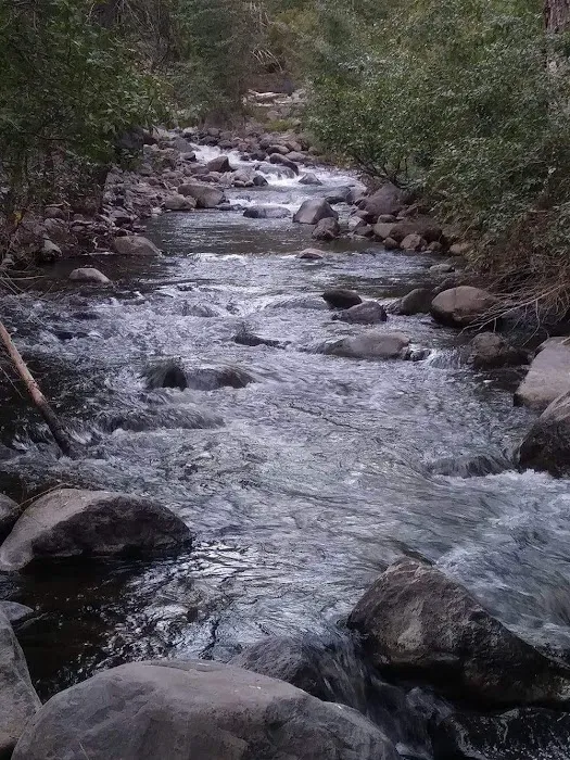 west branch camp road campground Picture 9