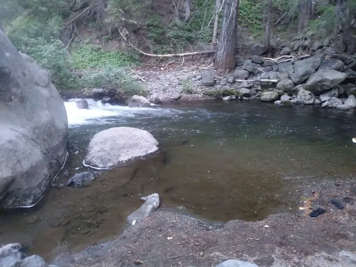 west branch camp road campground Picture 7
