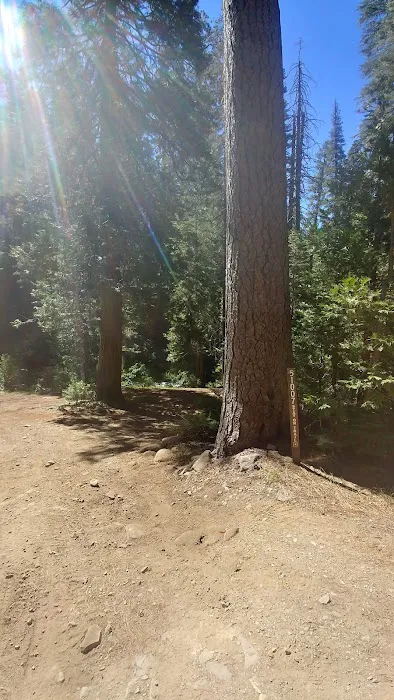 west branch camp road campground Picture 10