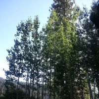 Philbrook Campground ico