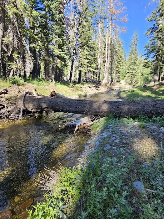 Philbrook Campground Picture 5