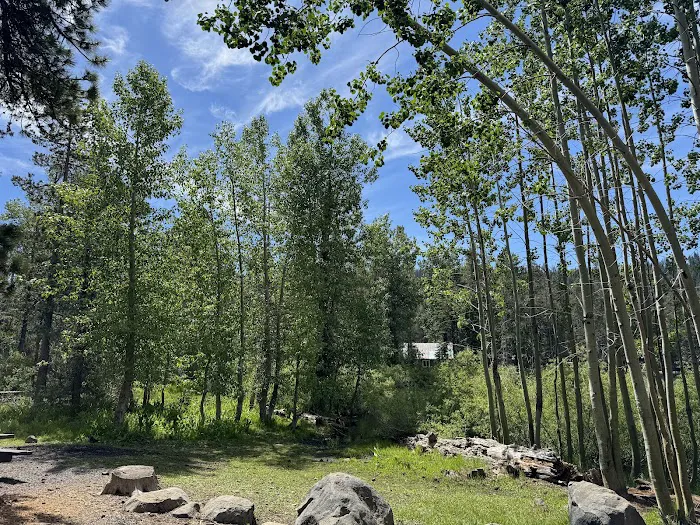 Philbrook Campground Picture 6