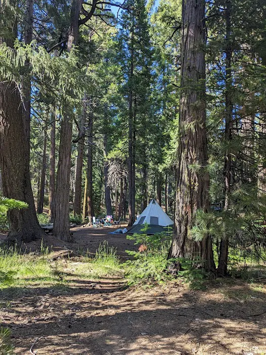 Butte Meadows Campground Picture 2