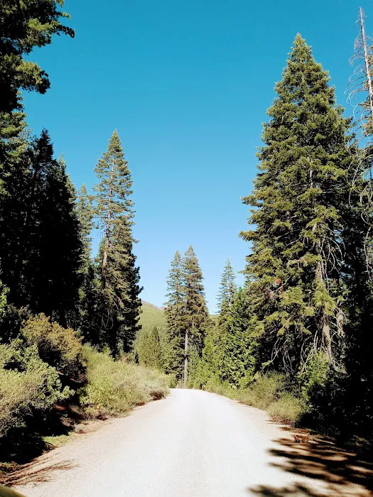 Butte Meadows Campground Picture 6