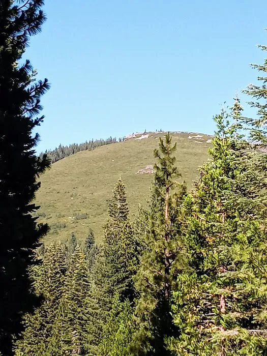 Butte Meadows Campground Picture 10